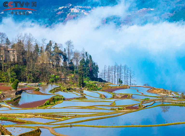 云南元阳：哈尼梯田美如画 