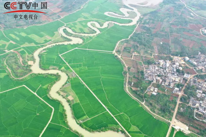 航拍海口春日画卷：三十六曲溪春意浓