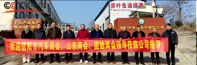 凝聚力量促合作 跨界联动谋发展 ——信阳市山东商会开展茶产业专题调研暨合作洽谈活动 