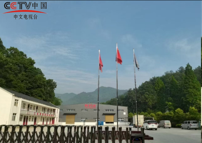 河南信阳：山水赋能 品牌致远  ——鸡公山富锶山泉的生态发展之路